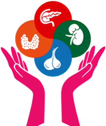 DOC-CONNECT pour la Endocrinologie