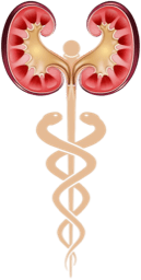 DOC-CONNECT pour la Néphrologie