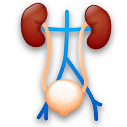 DOC-CONNECT pour la Urologie